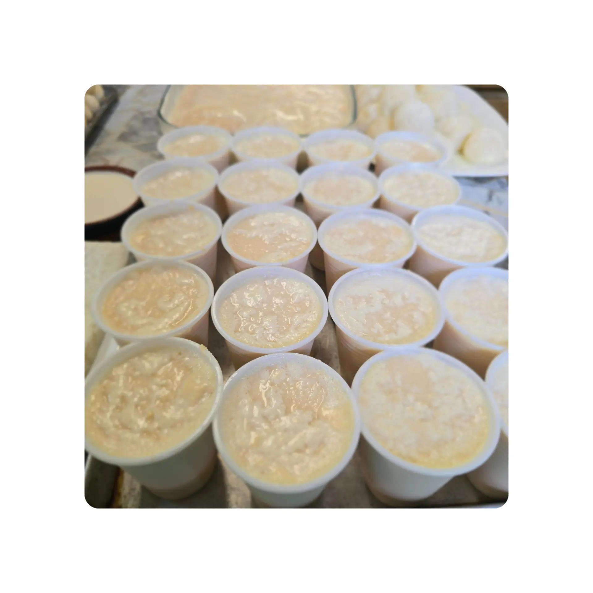 Yogurt Cup